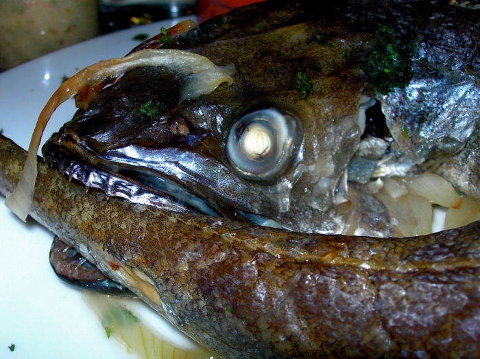 poisson / fish