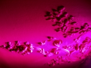 rose / pink2 commentaires.