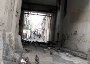 la fte des pigeons / a pigeons party1 commentaire.